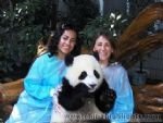 Panda Breeding and Research Center