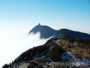 The Golden Summit