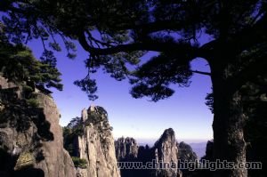 magnificent sceneries at The Yellow Mountains. 