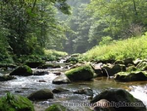 Jinbian Brook