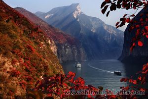 The amazing Yangtze River decorated by the red leaves on the river bank.