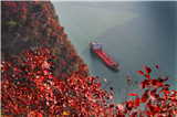 Yangtze River Cruise