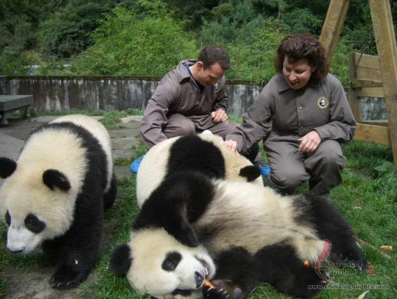 Bifengxia Panda Base 