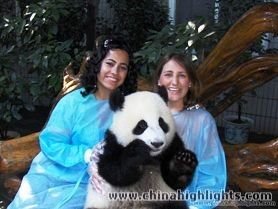 Panda keeping program and Chengdu highlights Tour