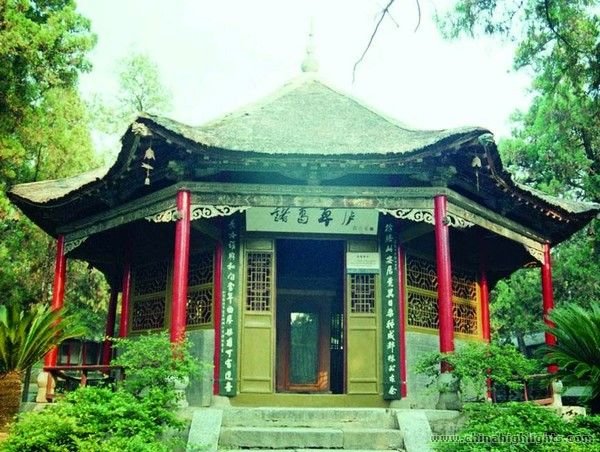 Panda Base and Chengdu Highlights Tour