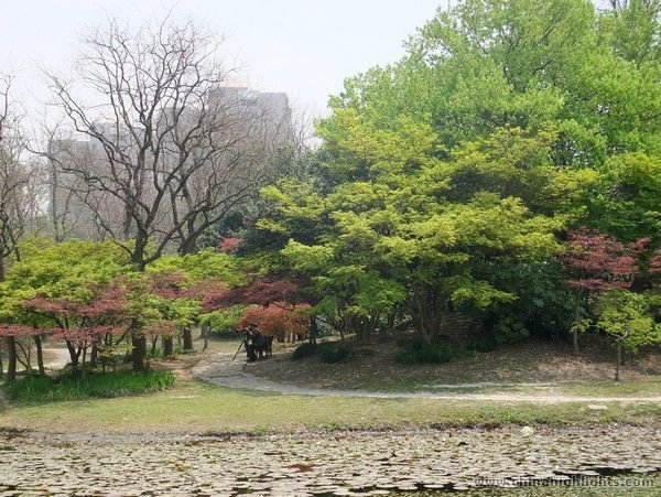 Shanghai Arboretum