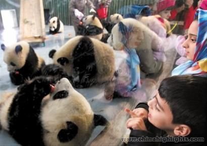 Shanghai Zoo